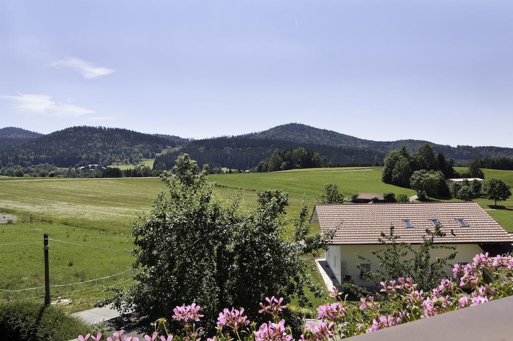 Haus Leutner Hotel Bodenmais Luaran gambar